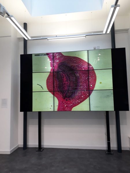 Art & Science: another way of looking