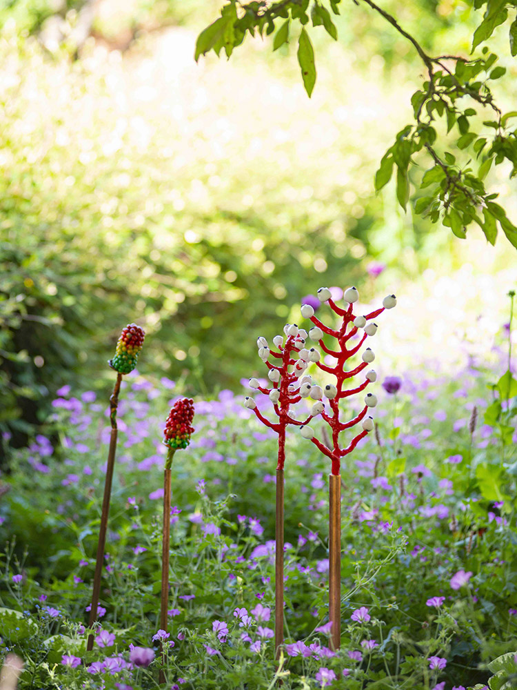 Invasive Species. Cannon Hall Park and Gardens